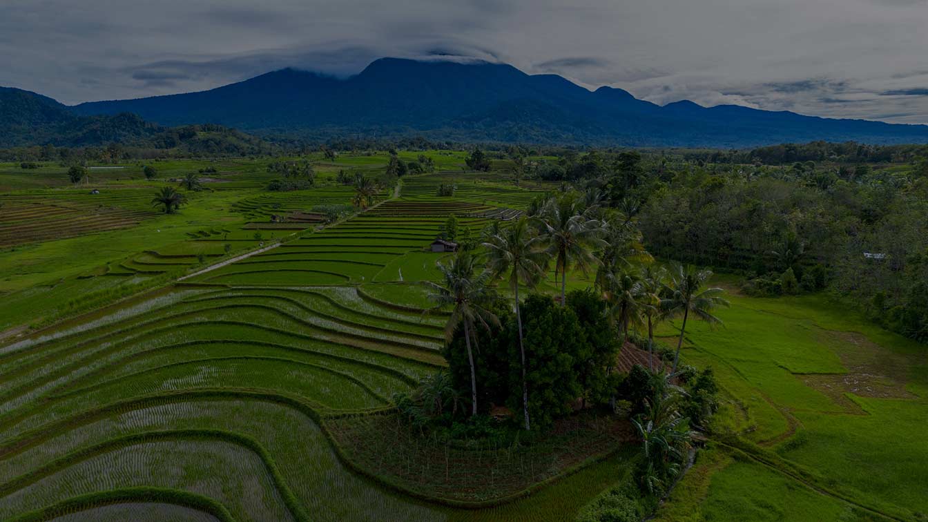Eine atemberaubende Luftaufnahme der grünen Reisfelder und üppigen Hügel Balis. Bali Prime Development legt großen Wert auf nachhaltige Landnutzung und Entwicklung, um die atemberaubende natürliche Landschaft der Insel zu bewahren.
